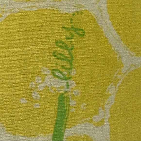 Lilly Pulitzer Dandelion Marti Skirt Women’s Size 2 - Picture 3 of 10